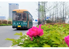 牡丹开出文旅新意 乐天堂fun88助洛阳迎盛会